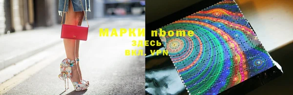 твердый Арсеньев