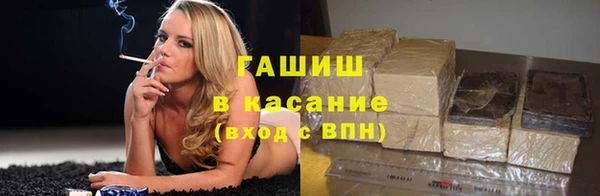 твердый Арсеньев