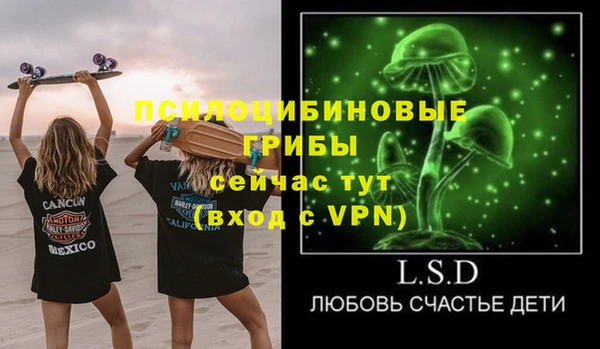 твердый Арсеньев