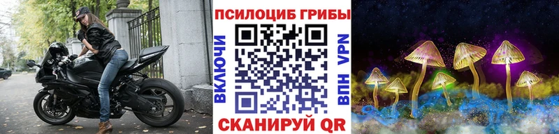 Галлюциногенные грибы GOLDEN TEACHER  сколько стоит  Суворов 